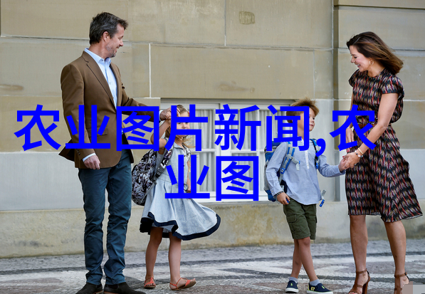 黄瓜种植技术精准水肥管理病虫害防治土壤改良