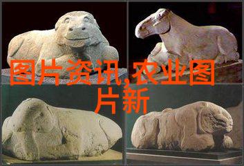 蜗牛的守护者白玉与自然的和谐