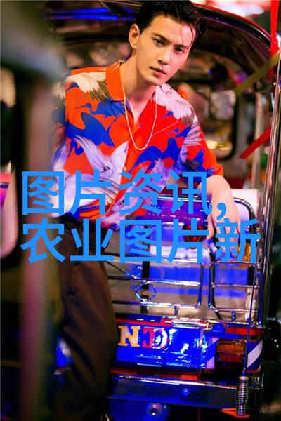 夏日的红枣甜蜜与记忆的交织
