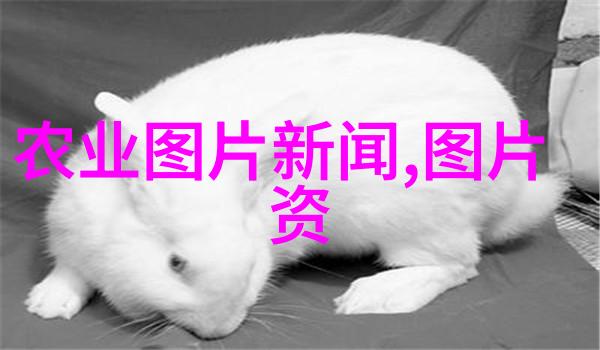 马齿苋对人体健康有什么具体好处和可能产生的问题吗