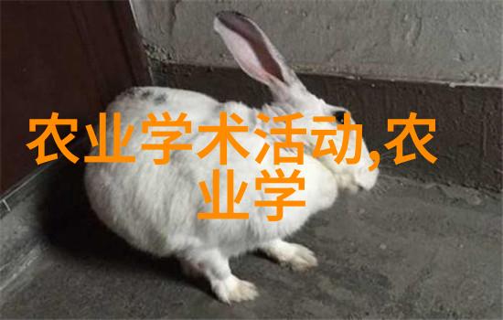 一年可收二次中药材中医药资源丰富的收获