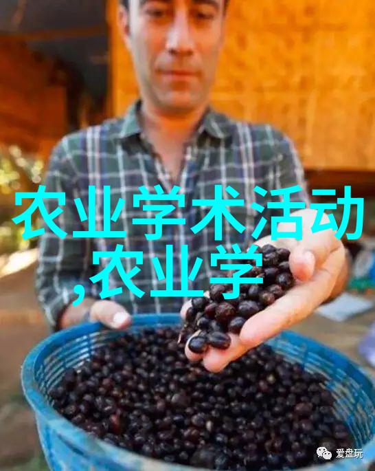 牛分娩
