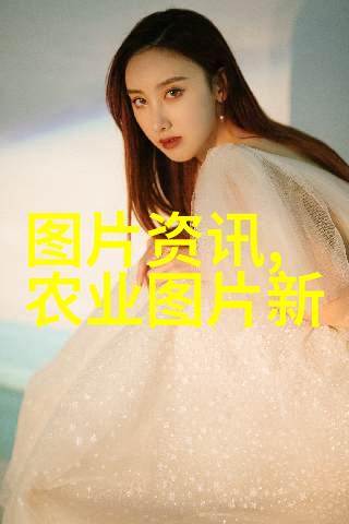 寿光大棚绿色生态的温室之冠