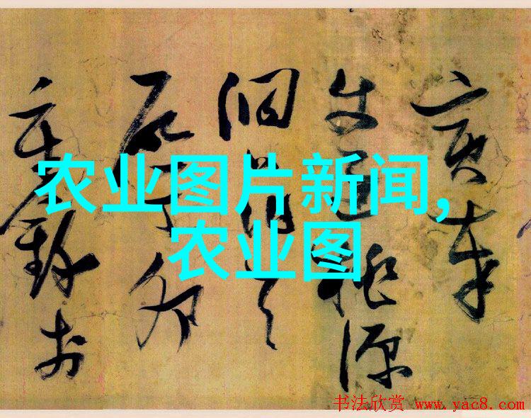 湖南农科院药材种苗传承中医文化的现代种植革命