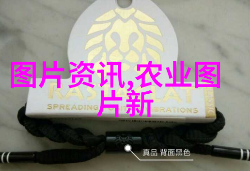 家里最旺财的十种花树亲自挑选给你看