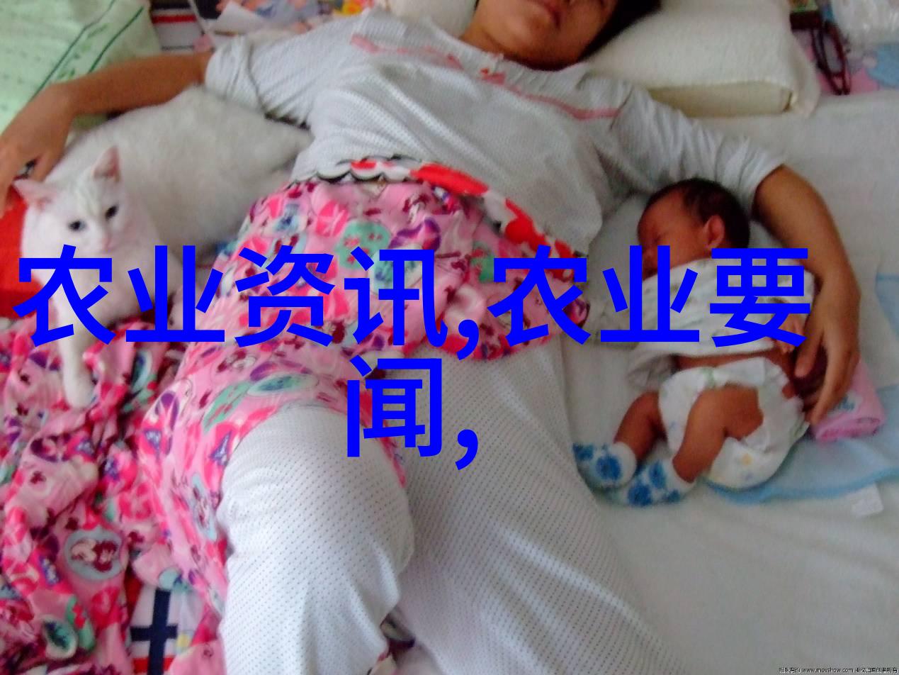 茶叶资讯探究茶叶种类产地加工与品鉴之关系