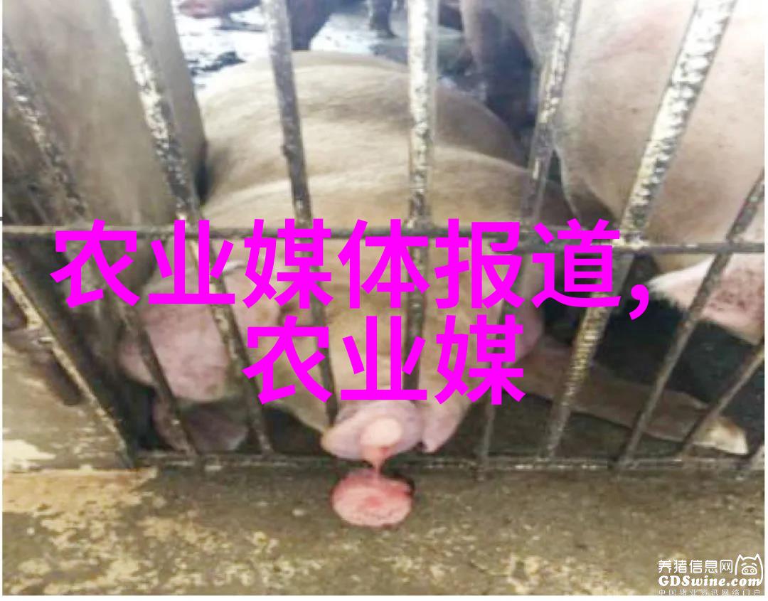 蜂蜜之恋女性健康的甜蜜选择