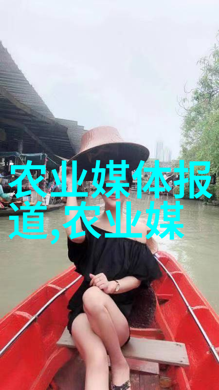 灵魂缓刑二团书生探索人性深层的文学作品