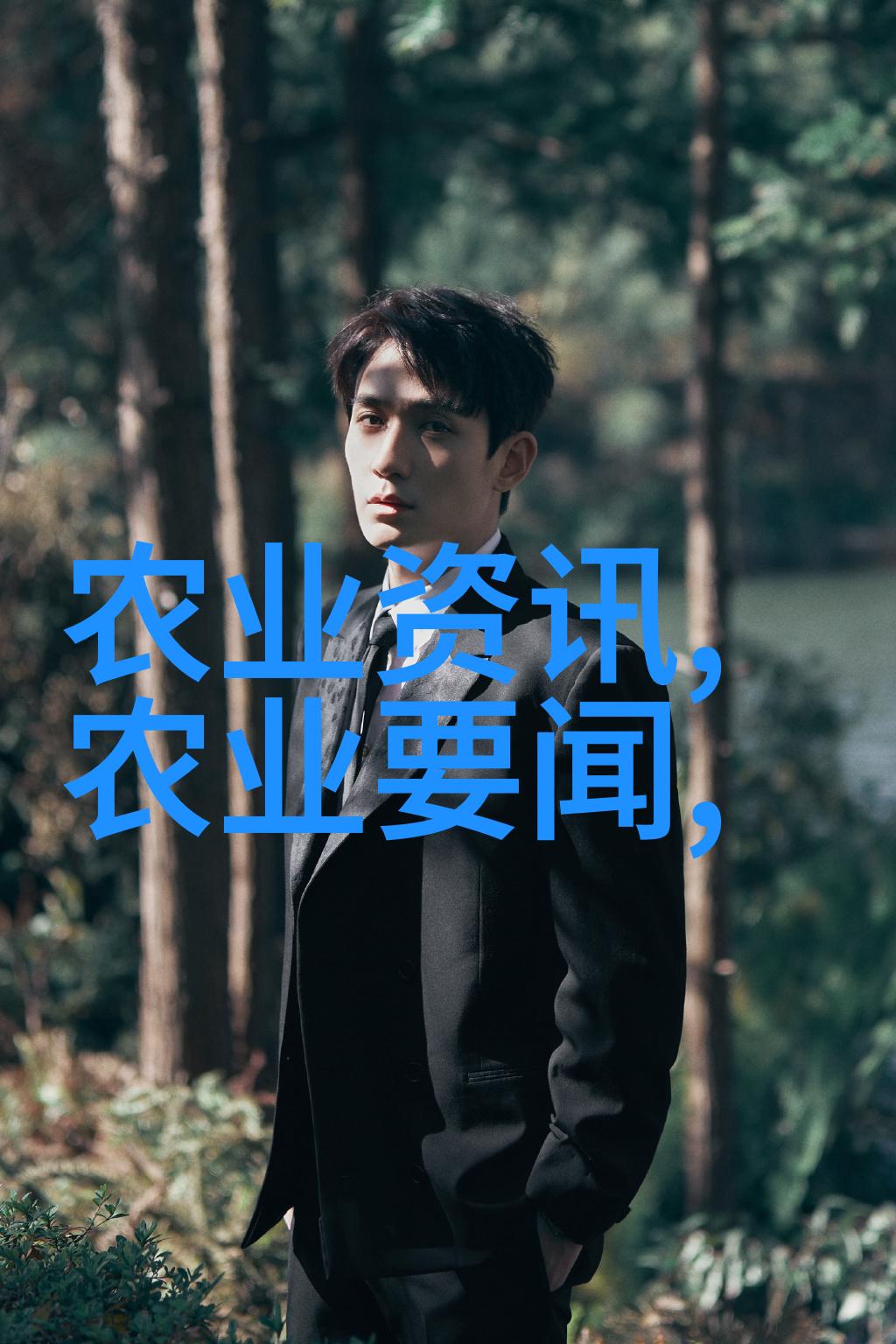 沉淀与醉心茶文化的诗篇