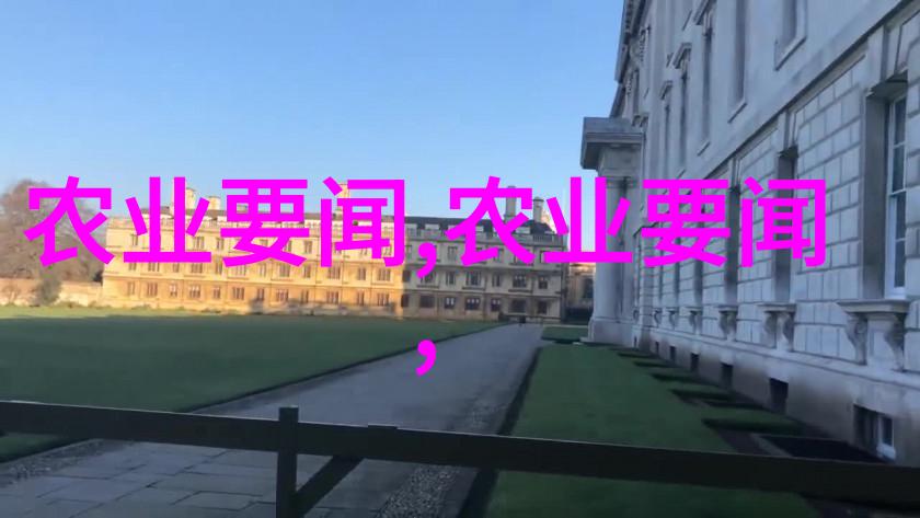 最高金正恩就中朝建交75周年互致贺电