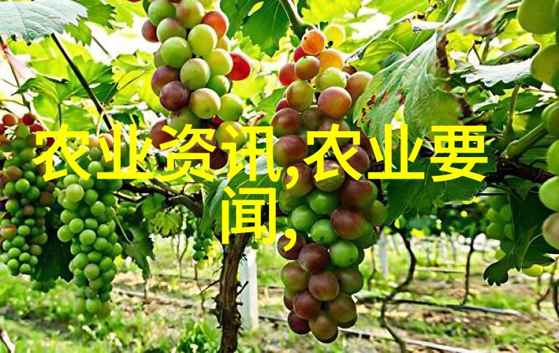 养鸽业-翱翔利润1000对肉鸽一年致富指南