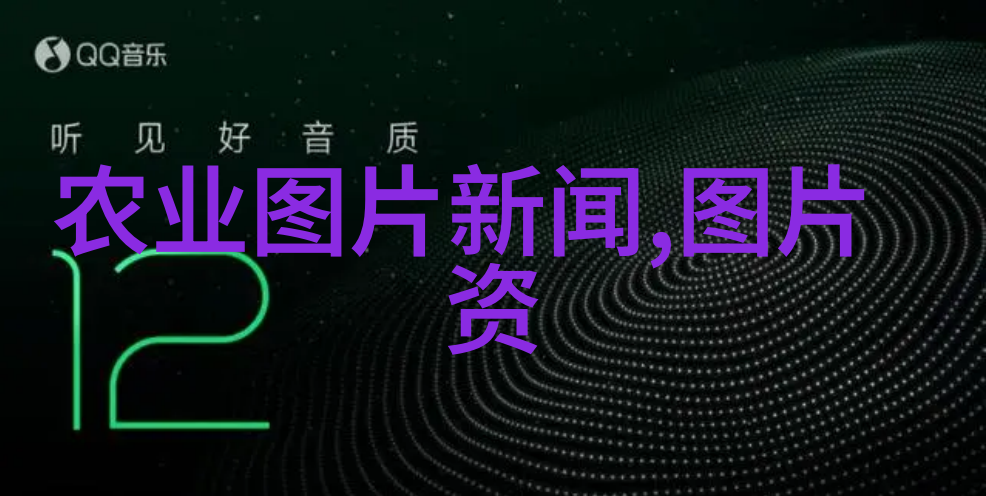 四棱豆我家院子里的神奇小植物