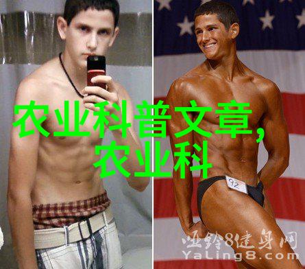 茶的悠久历程探索茶叶的起源与历史