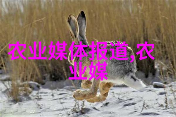 10年银杏树多少一颗-园艺市场上的银杏宝石10年树木的价值探究