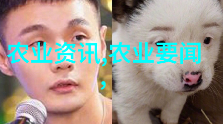创新驱动农业引领行业潮流最前沿的淡水养鱼技术分享
