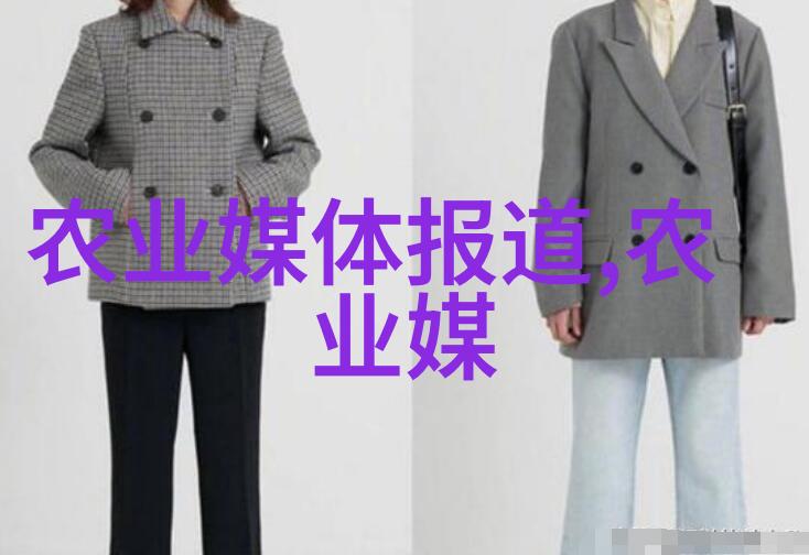 玉米秸秆收割机高效利用农田资源的现代农业奇迹