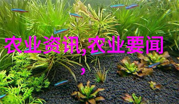 张警官9分10秒头撞玻璃