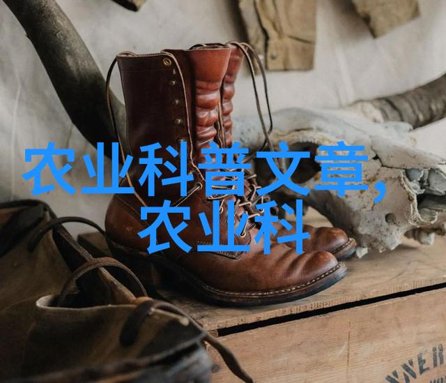 花卉种植床我家的阳台小花园从零到英雄的种植床故事