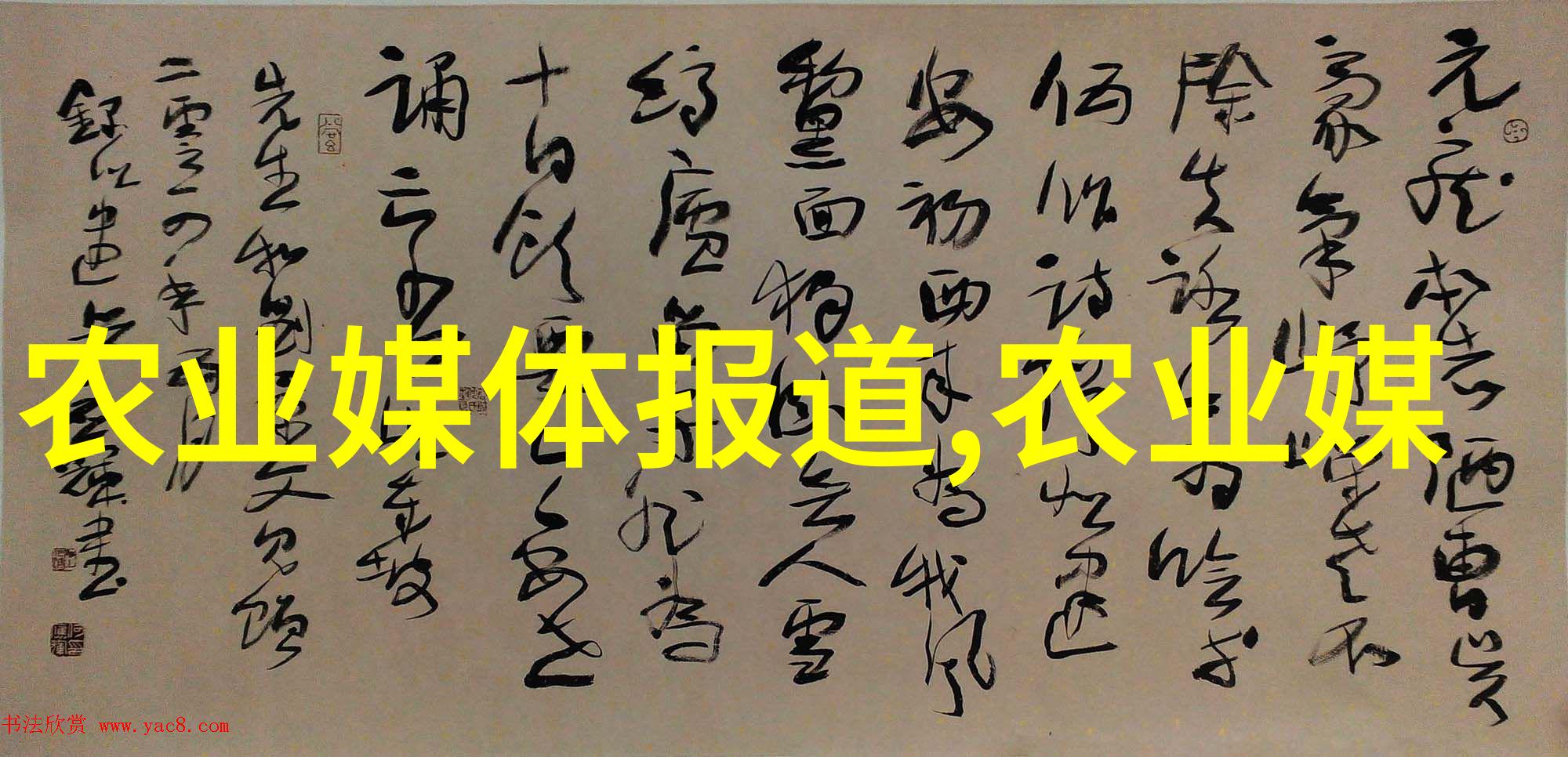 斗南鲜花批发平台绽放香气连接绿洲