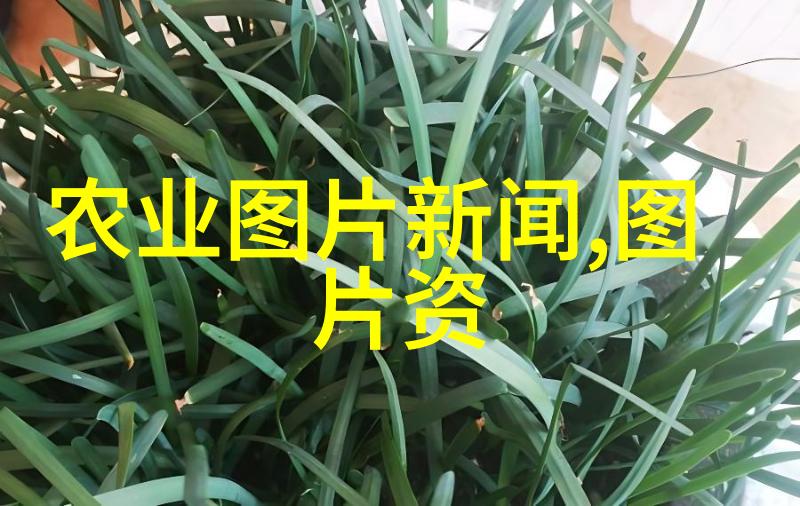数控技术-精准制造数控机床的革命性影响与未来展望