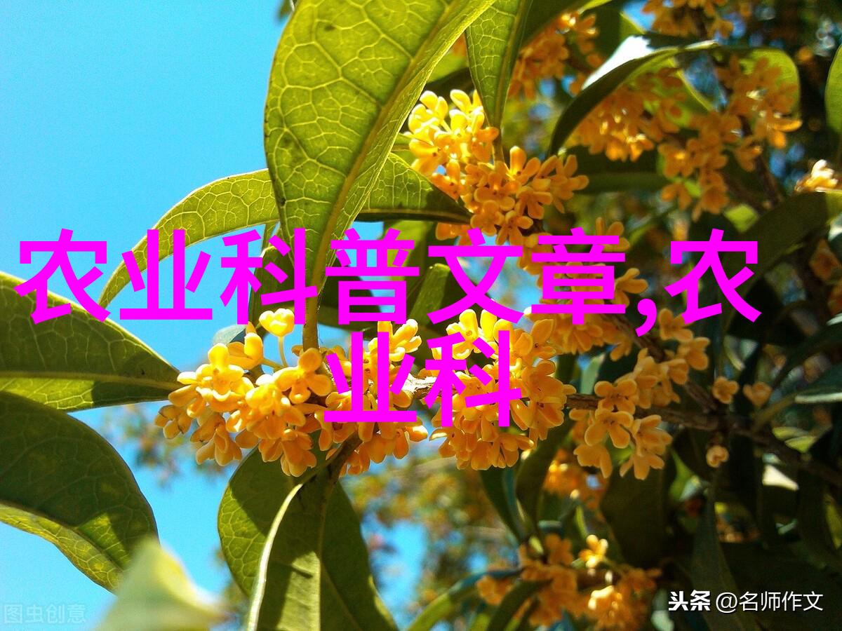 家庭菜园梦想现实小型微耵器的应用与创新
