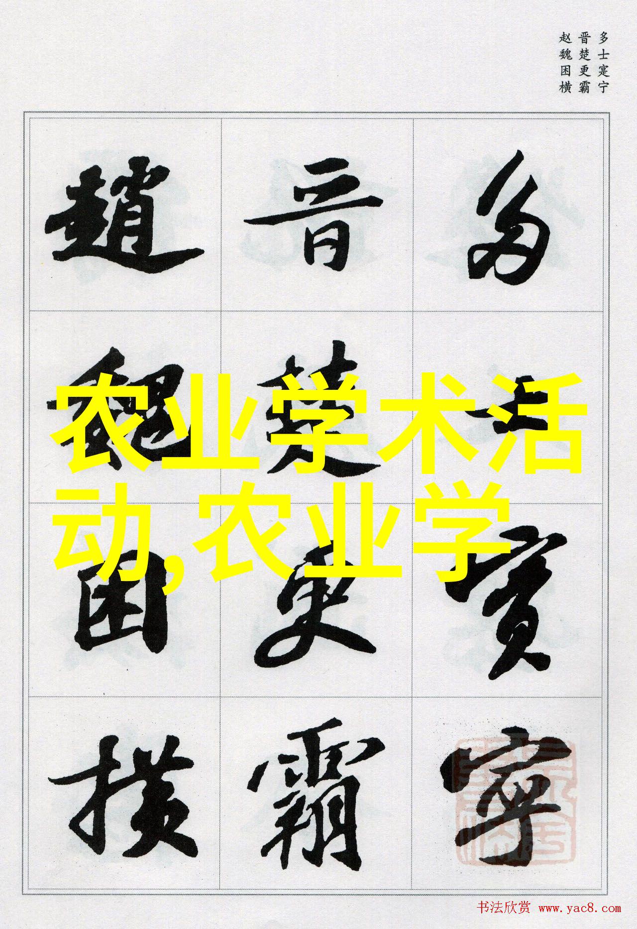 我们应该在家院子里种植哪些能活下来的夏日小花