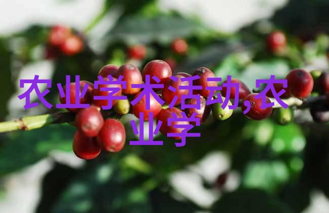 超凡修炼之路探秘大神养成计划的奥秘