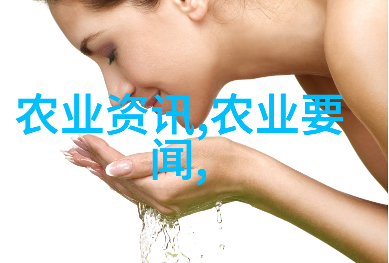羊舍建造技巧简易低成本设计实用图解
