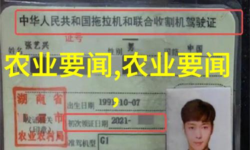 盆栽花卉图片我家阳台上的这些小精灵是怎样从无到有