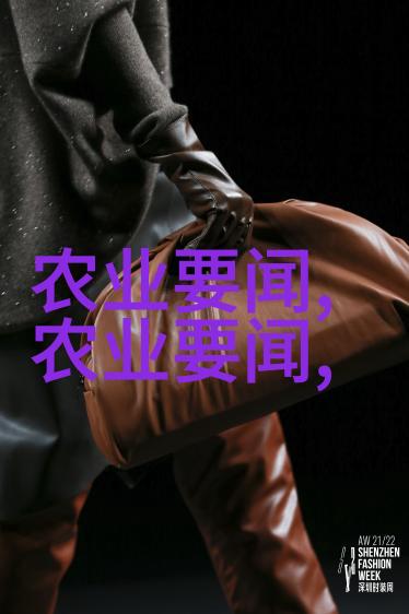 科学养蜂技巧与实用方法高效的蜂巢管理和健康蜂群育种