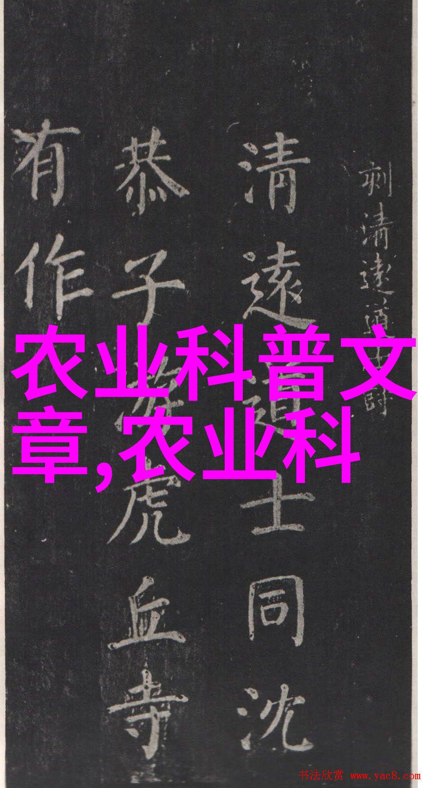 禽类养殖新知优化管理策略与健康养殖技巧