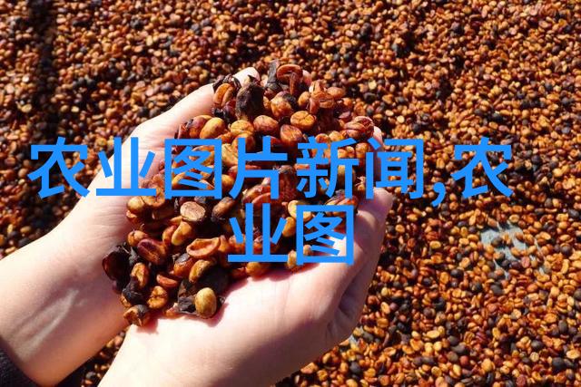 美丽姑娘高清视频全集免费观看美丽的女孩高清晰度视频完整集无限免费观看