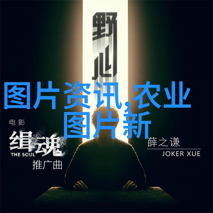 15公分白蜡价格探究一棵的价值与市场动态
