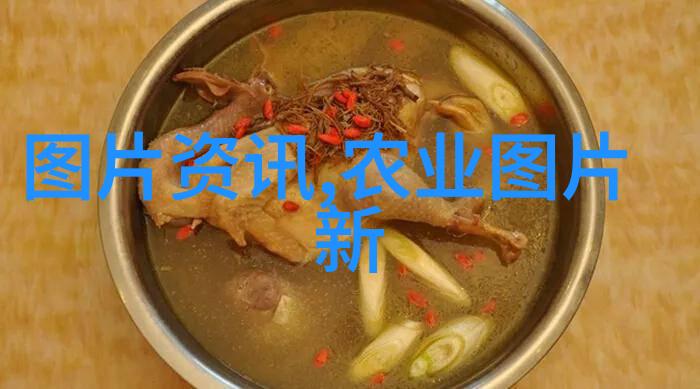 从荒漠到繁花100种水果种子小盆栽的逆袭之旅