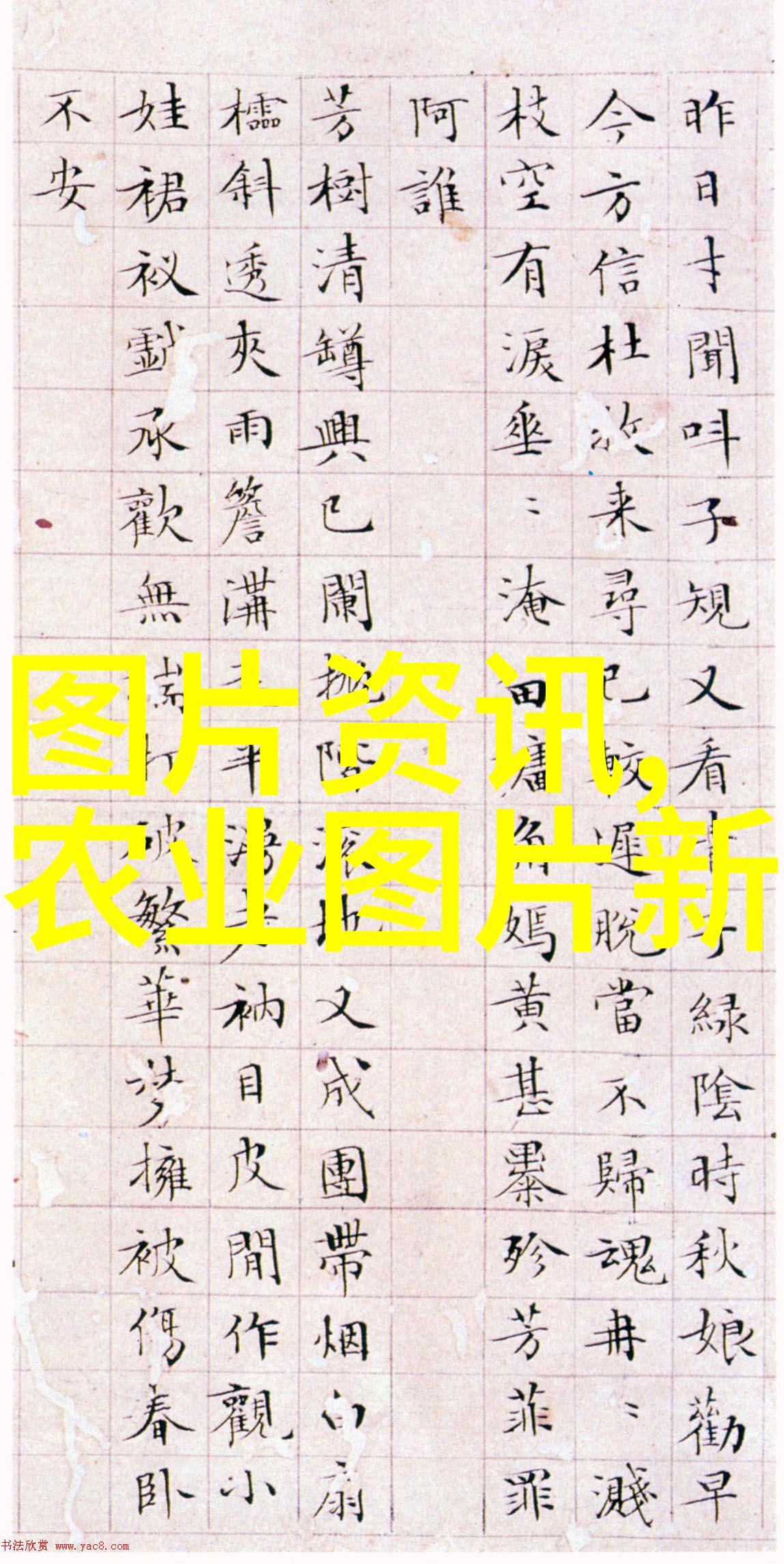 黑帮之地揭秘网络世界中的不法组织与地下活动
