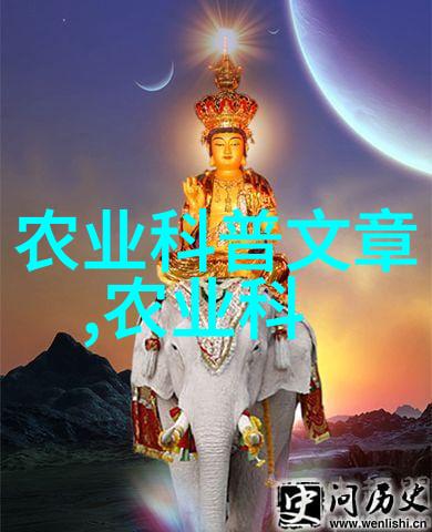 历史人物-杨天经忠诚与智慧的楷模
