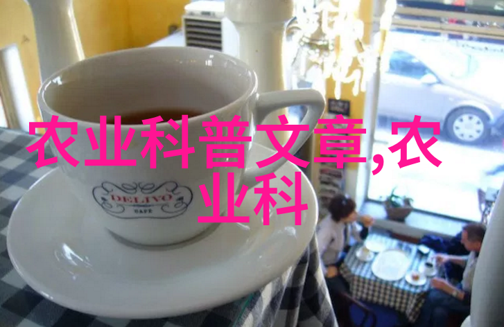 绿手指上的艺术花卉种植方案全解析