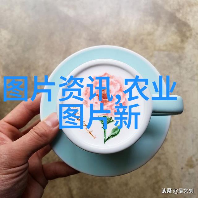 菌类文化探索微生物世界的奇妙多样性