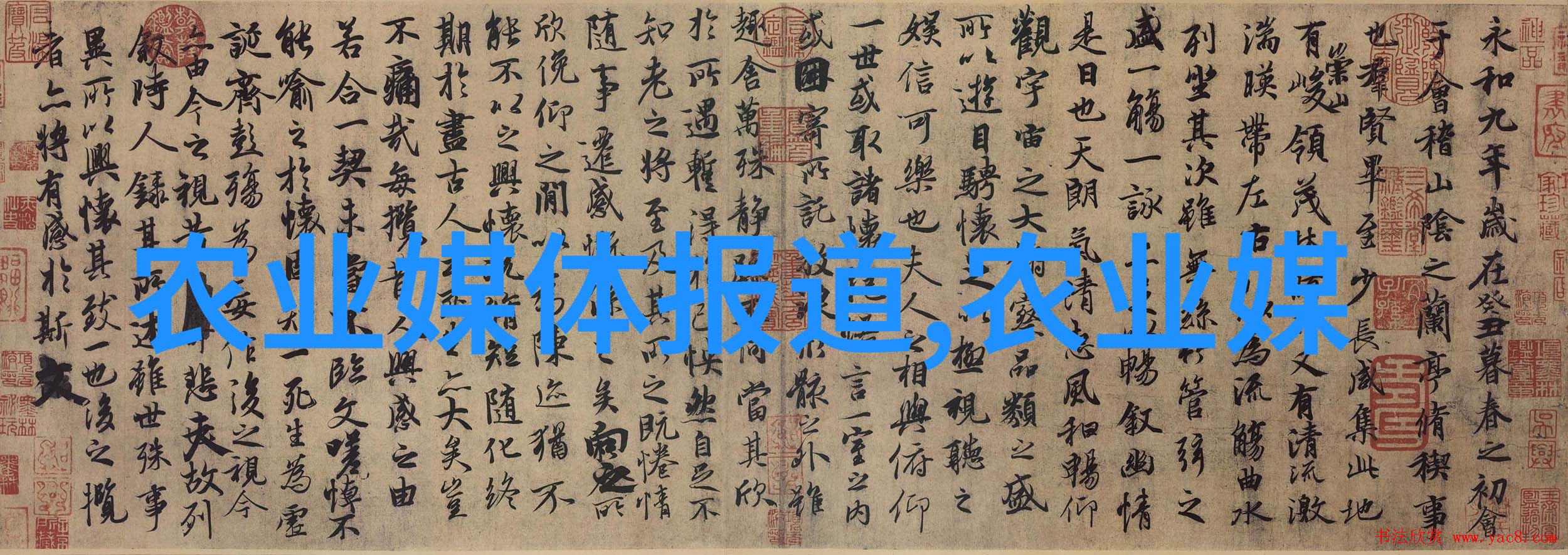 文件解密的艺术与科学揭秘数据背后的故事