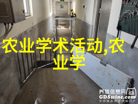 8月到9月蔬果盛宴精选种植指南