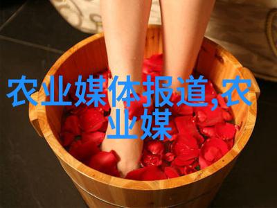 花海篇绚烂的色彩与生命之歌