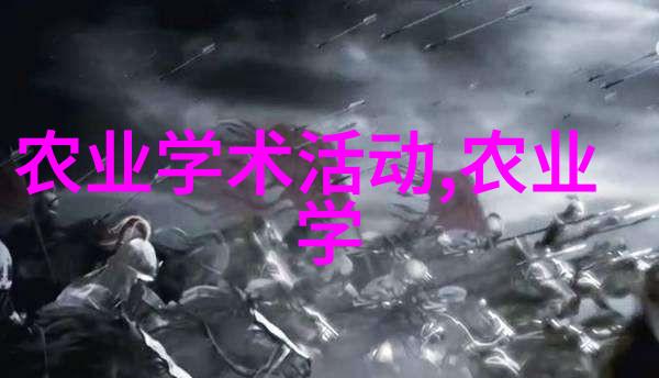 寒夜江东的月光与故事