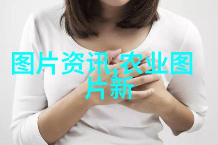 五角枫树苗价格优质园艺种植的经济实用植物
