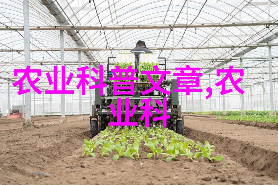 银杏树下的悠然探索这棵千年古木的智慧与魅力