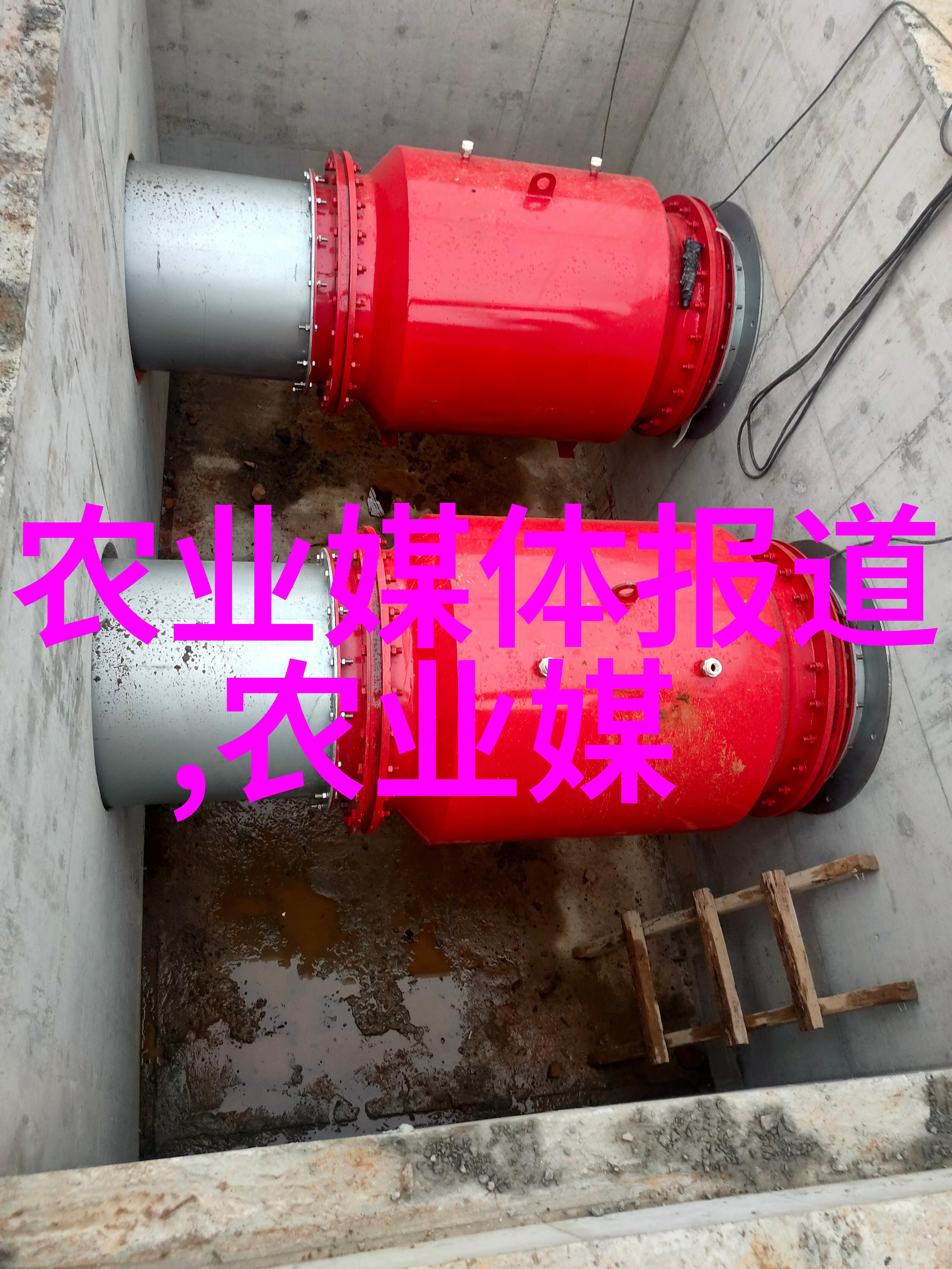 乌龙茶艺术拍照指南