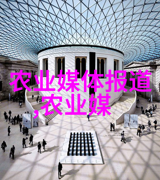 革命性耕作新工具探索免耕播种机的未来农业奇迹