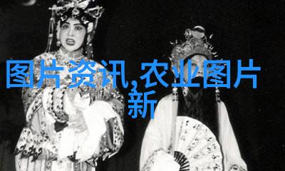 蔬菜梦之屋一亩大棚投资探秘