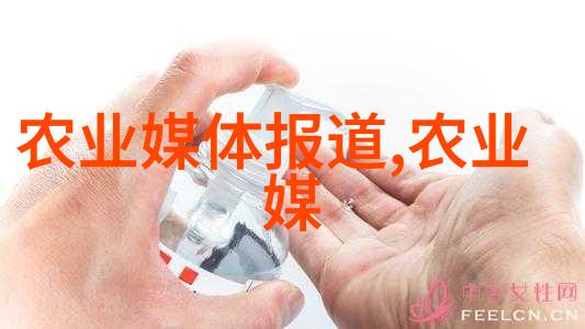 旺家绿植十强精选室内植物美化生活空间