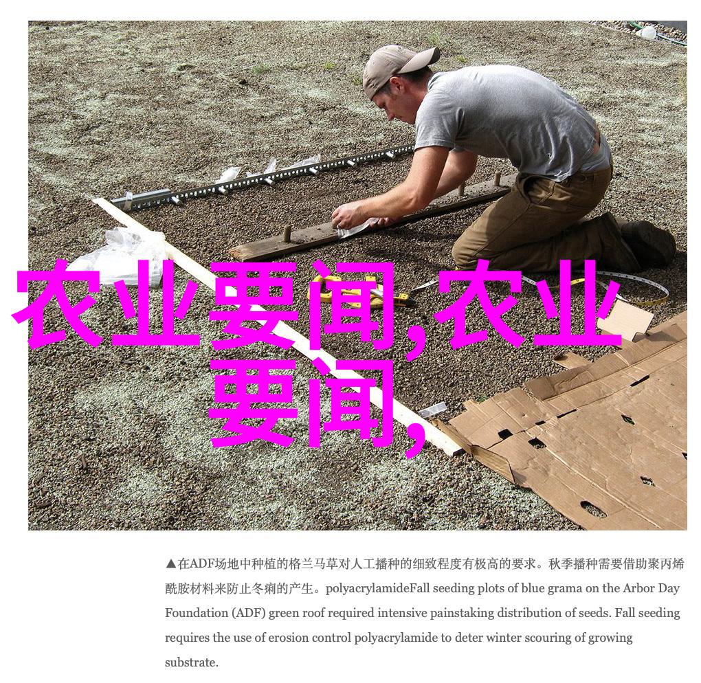 数字媒体艺术考研指南揭秘学府强势排行榜