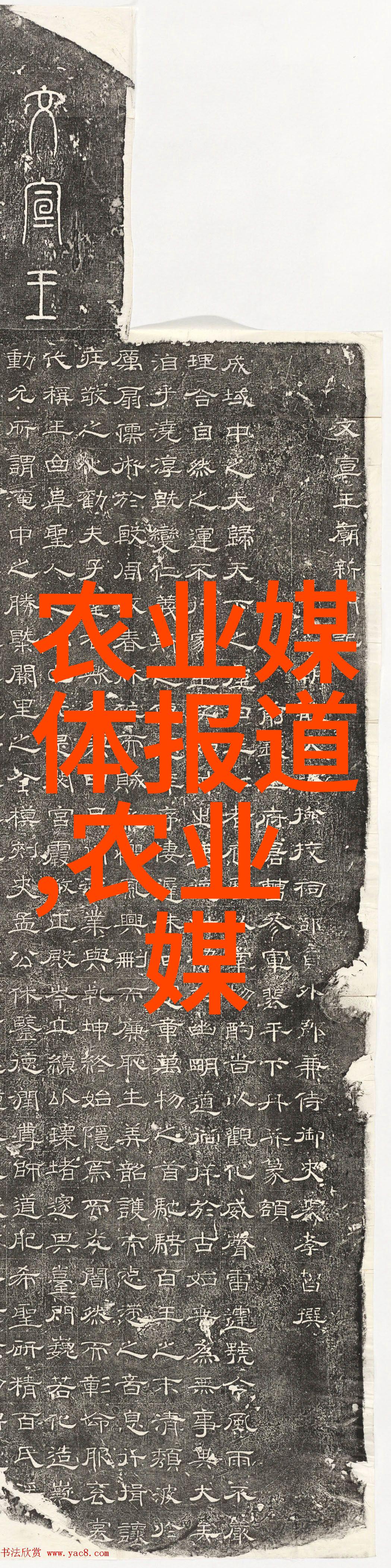 板蓝根的种植方法及条件-从播种到收获的全程指南